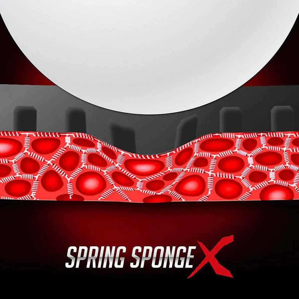 Butterfly Dignics 05 Spring Sponge X Technology