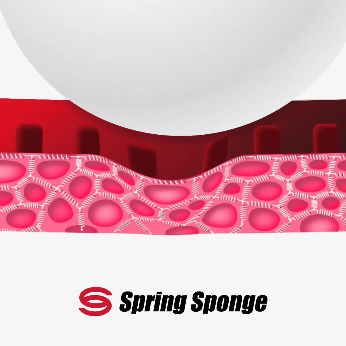 Butterfly ROZENA Rubber